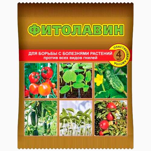 Фитолавин