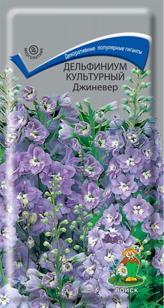 Дельфиниум культурный джиневер