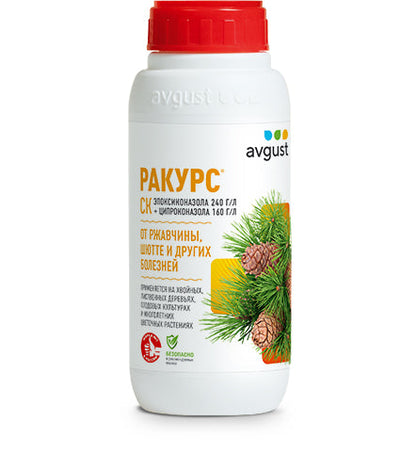 Ракурс
