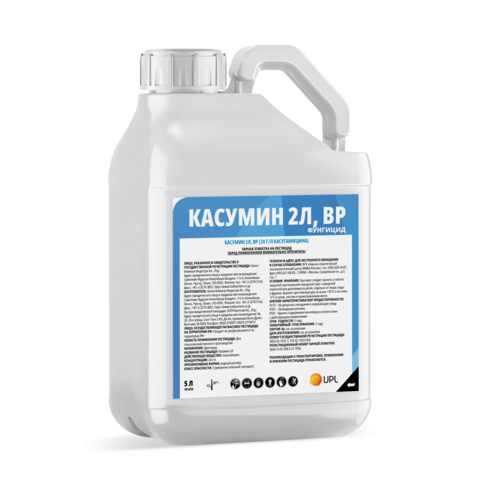 Касумин