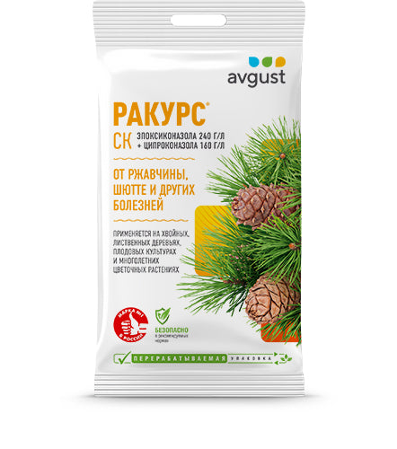 Ракурс