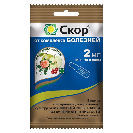 Скор