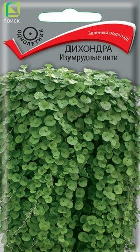 Дихондра Изумрудные нити