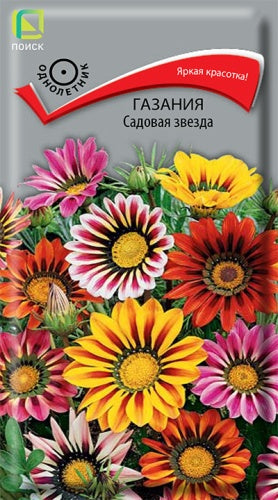 Газания Садовая звезда