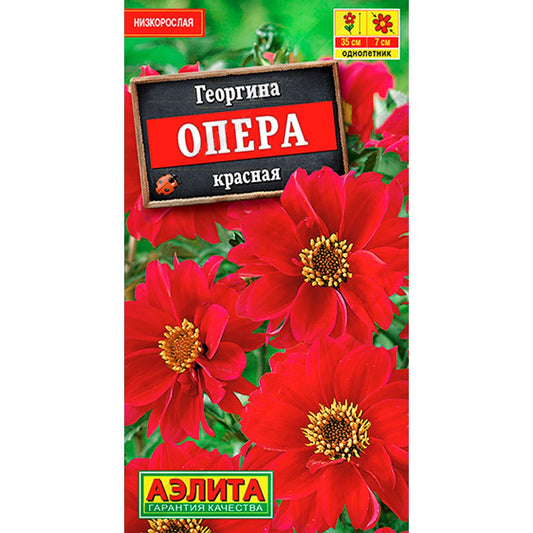Георгина Опера красная