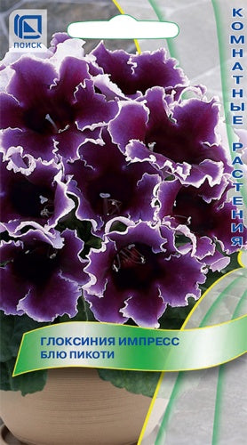 Глоксиния Импресс Блю Пикоти