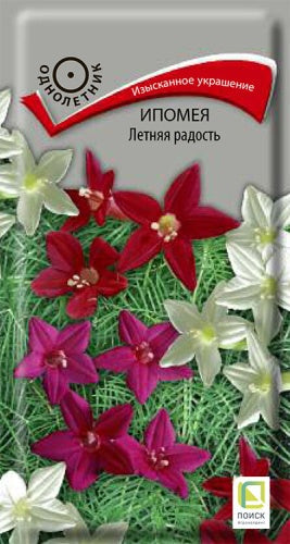 Ипомея Летняя радость