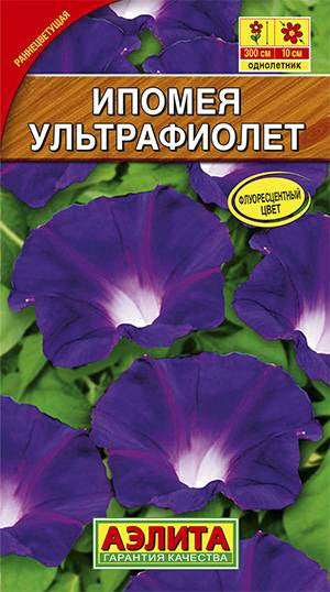 Ипомея Ультрафиолет