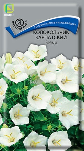Колокольчик карпатский Белый