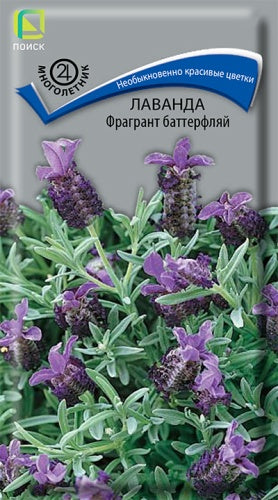 Лаванда Фрагрант Баттерфляй