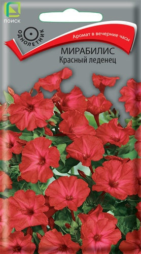 Мирабилис Красный леденец
