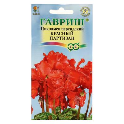 Цикламен персидский Красный партизан