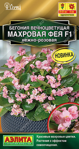 Бегония вечноцветущая махровая фея F1 нежно-розовая