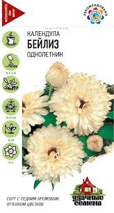Календула бейлиз однолетник