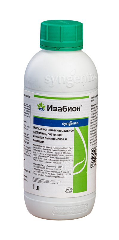 Изабион