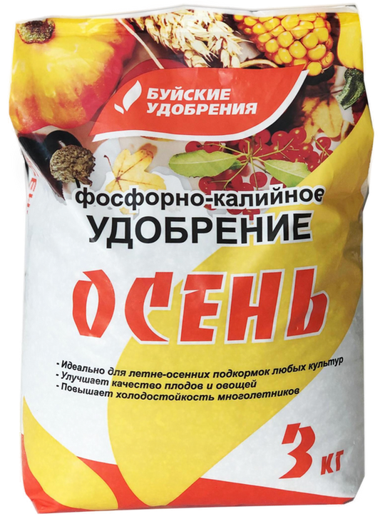 Осень ОМУ